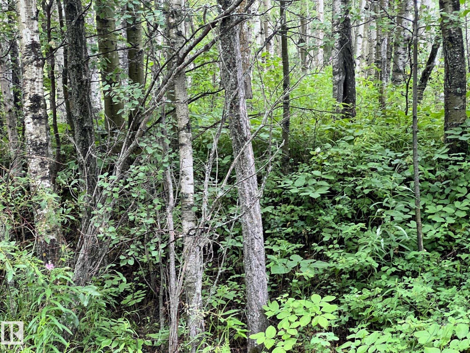 2130 2001 Twp Rd 474, Rural Leduc County