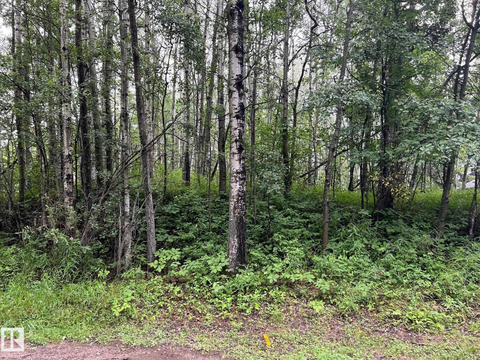 2130 2001 Twp Rd 474, Rural Leduc County