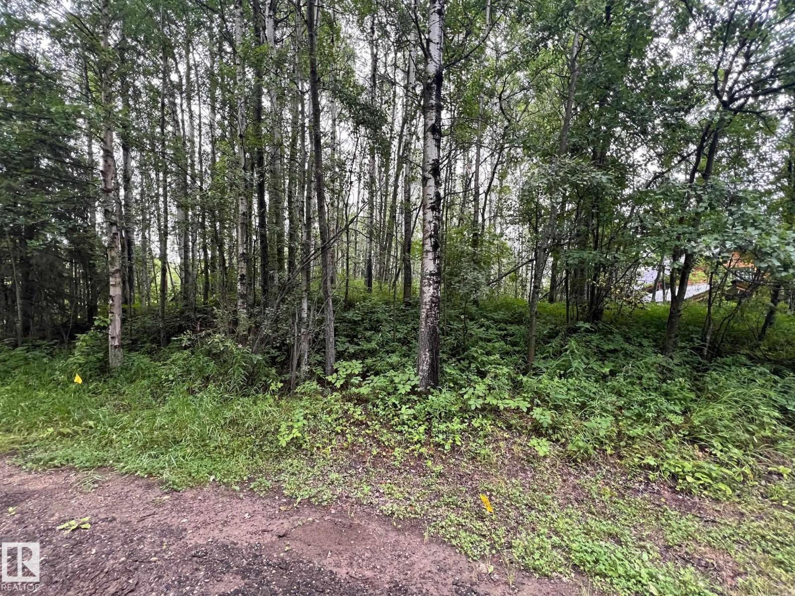 2130 2001 Twp Rd 474, Rural Leduc County