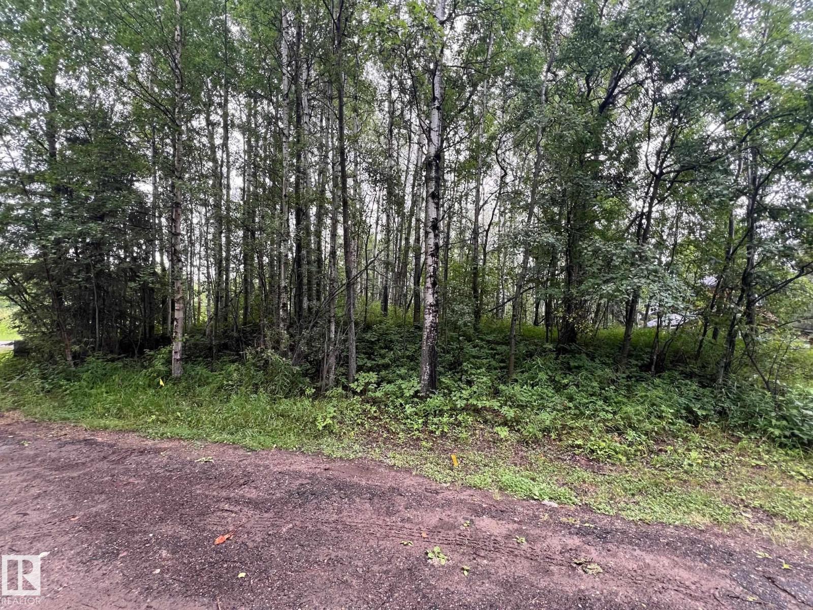 2130 2001 Twp Rd 474, Rural Leduc County