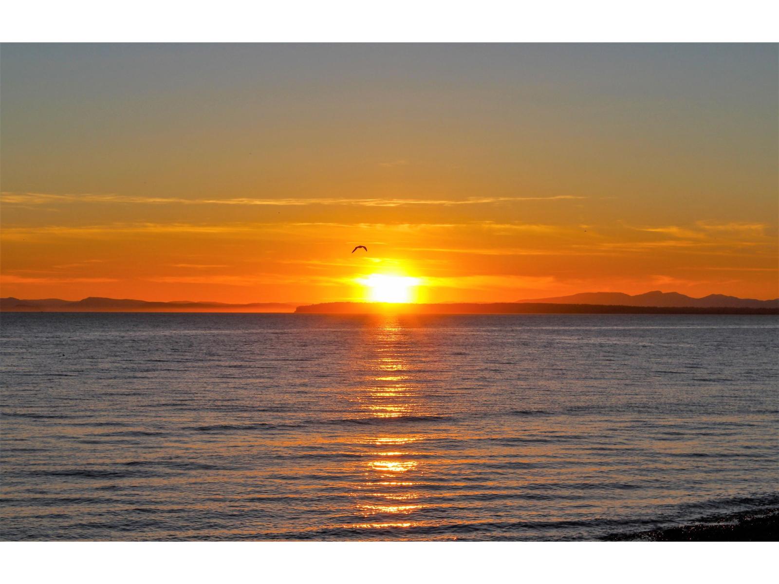 12631 15 Avenue - main photo