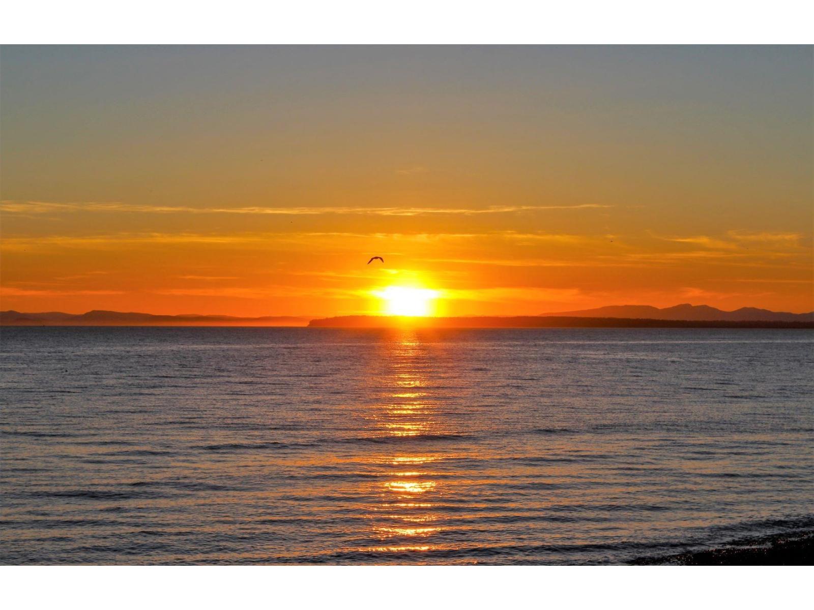 1523 126A Street - main photo