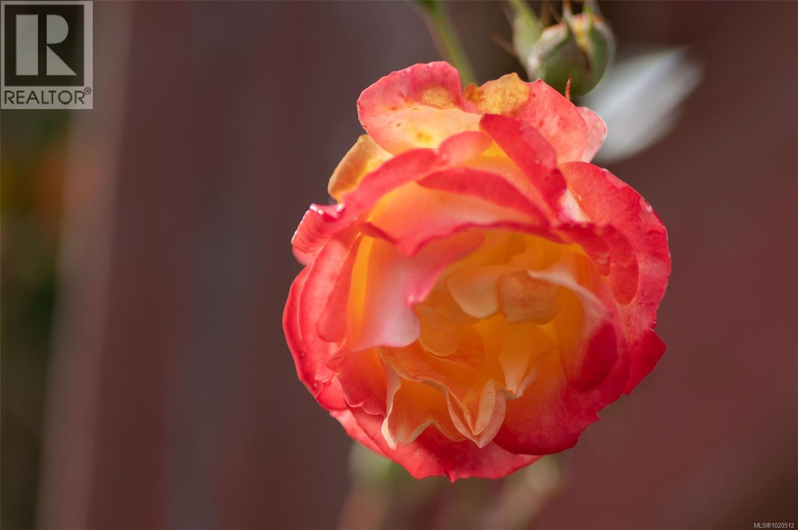 2074 135 Brinkworthy Road, Salt Spring