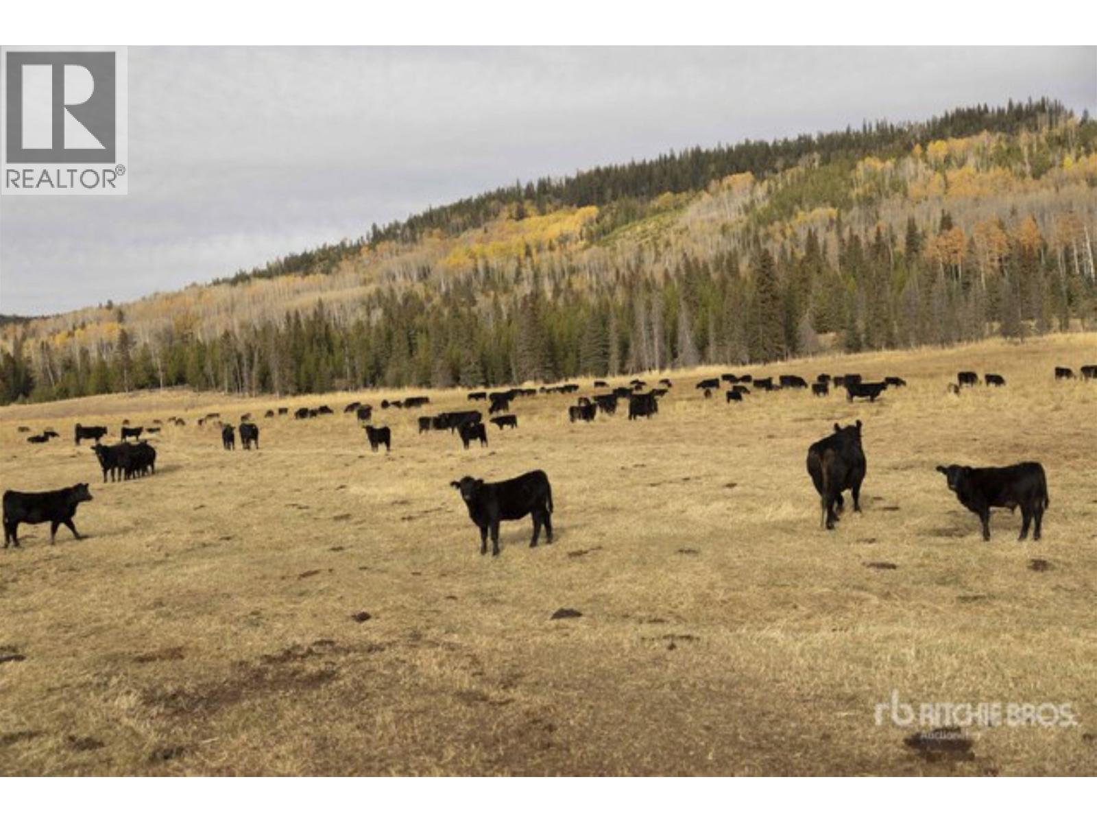 5670 EAGAN BONAPARTE ROAD - 21