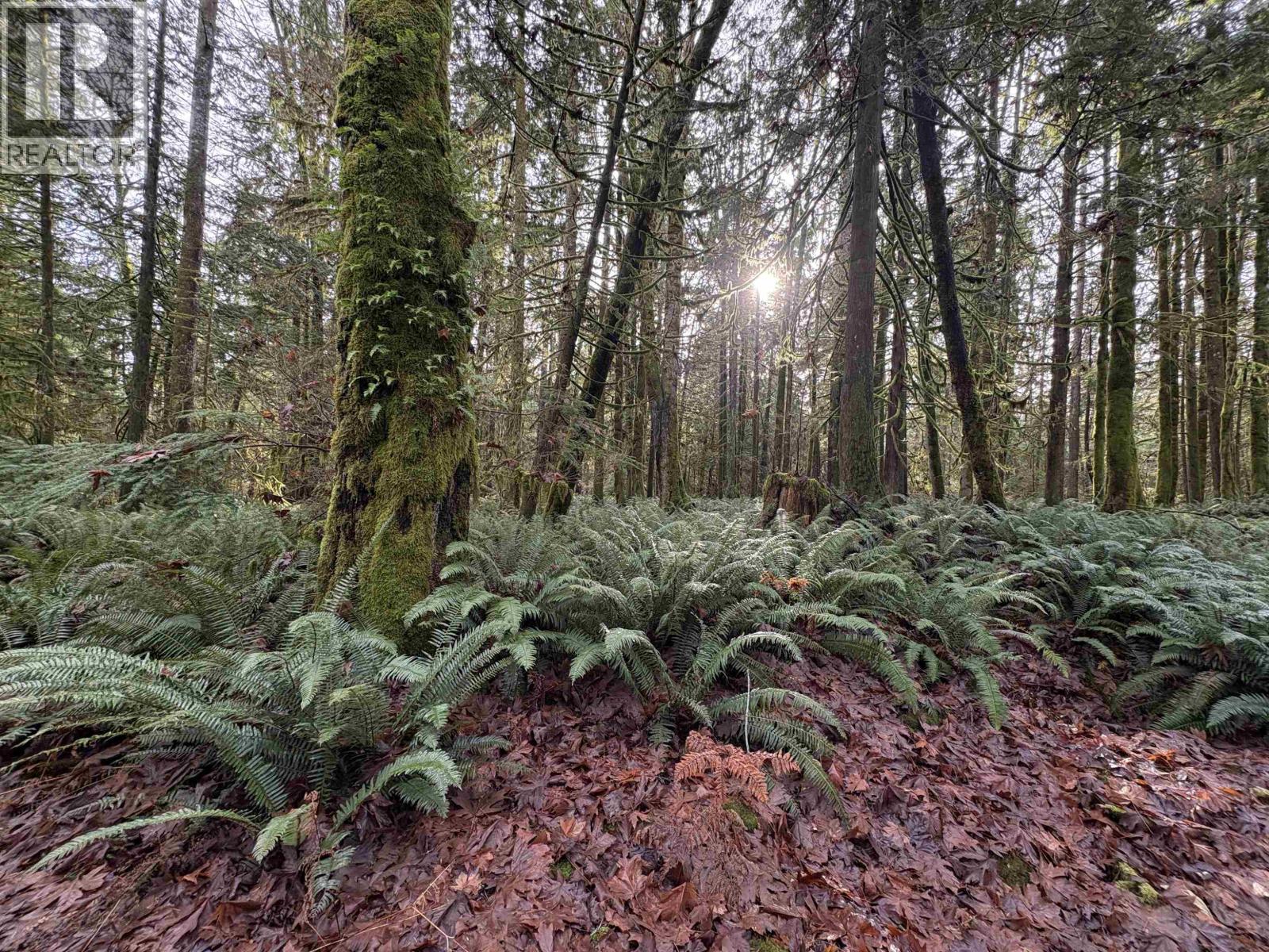 815 THE GROVE ROAD, Gambier Island