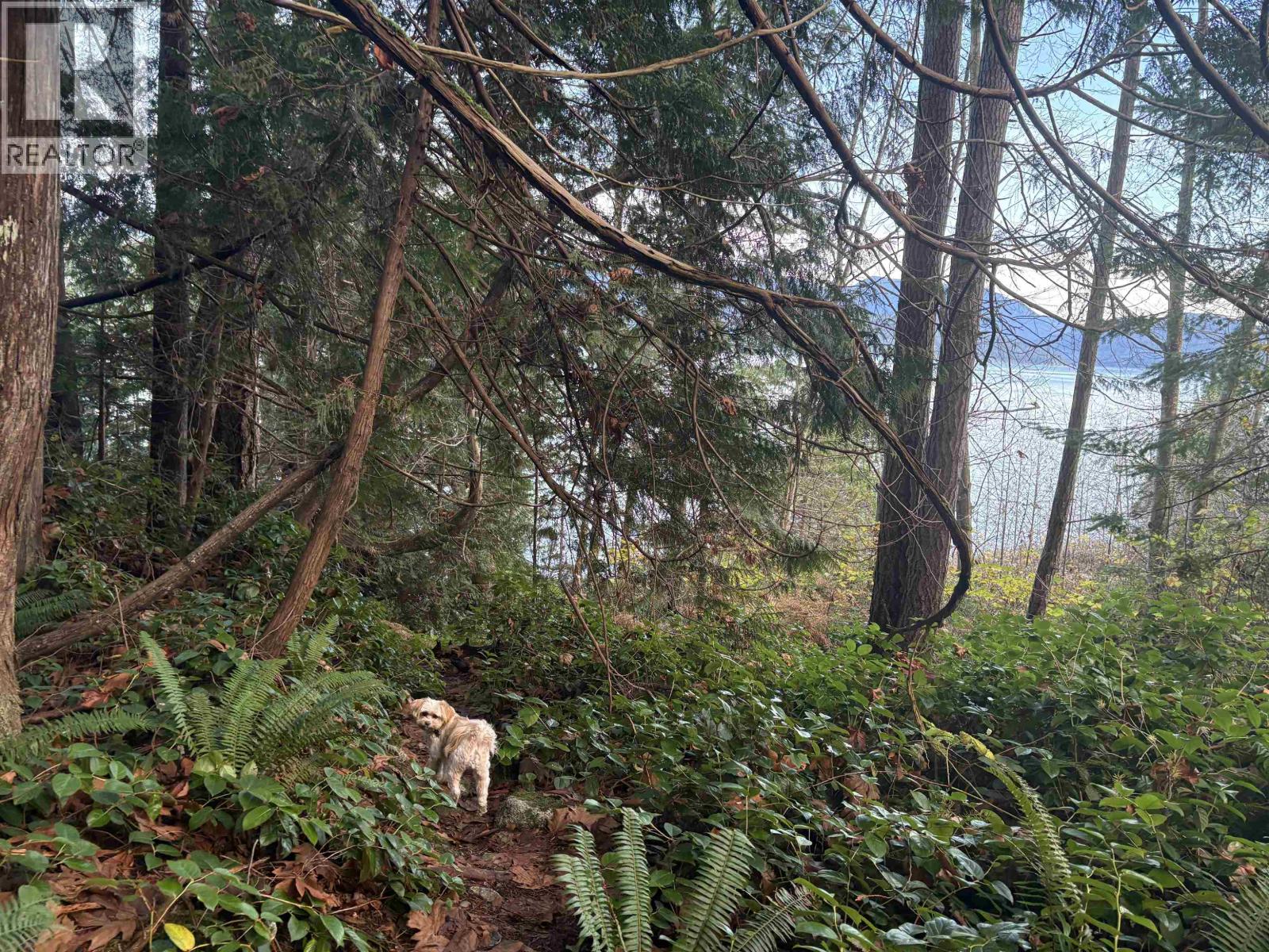 815 THE GROVE ROAD, Gambier Island