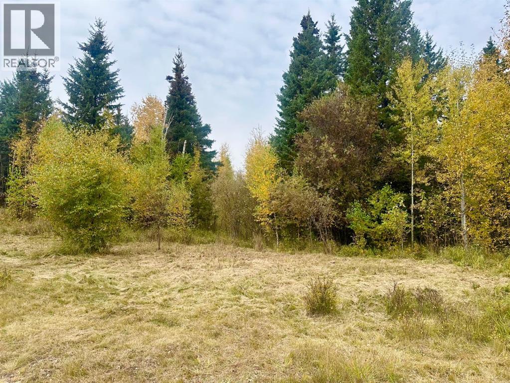 Lot 1 Mountain Springs - Photo 2 of 7, Rural Woodlands County, Alberta