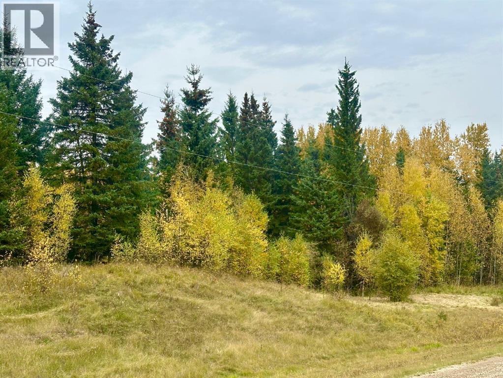 Lot 1 Mountain Springs - Photo 3 of 7, Rural Woodlands County, Alberta