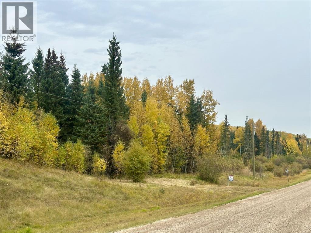 Lot 1 Mountain Springs - Photo 4 of 7, Rural Woodlands County, Alberta