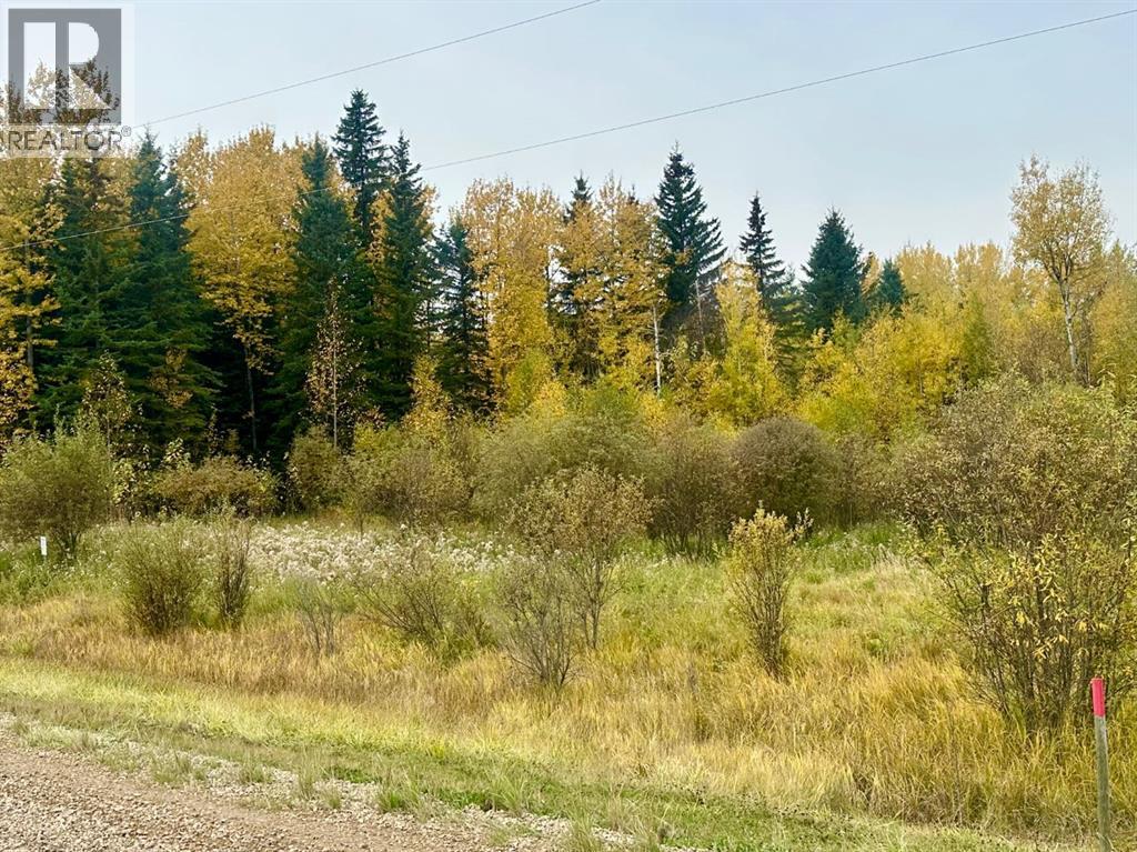 Lot 1 Mountain Springs - Photo 5 of 7, Rural Woodlands County, Alberta