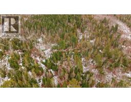 000 Lynnfield Road, Oak Hill, NB E5A2B2 Photo 6