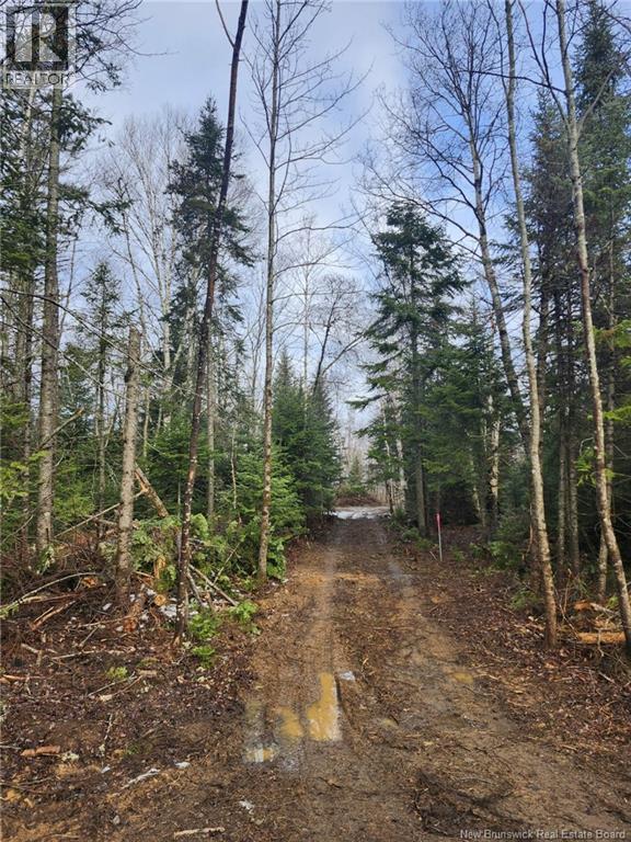 107 A + B Street - Photo 5 of 29, McGivney, New Brunswick