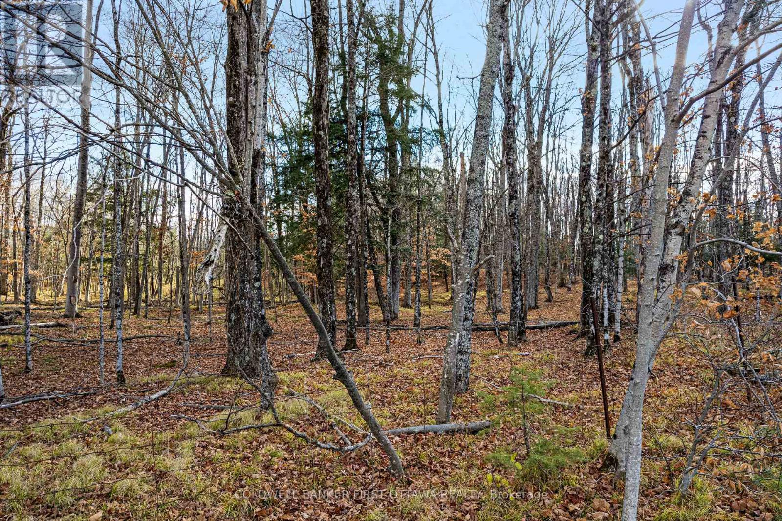 PT 1-00 HERRON MILLS ROAD - Photo 3 of 7, Lanark Highlands, Ontario