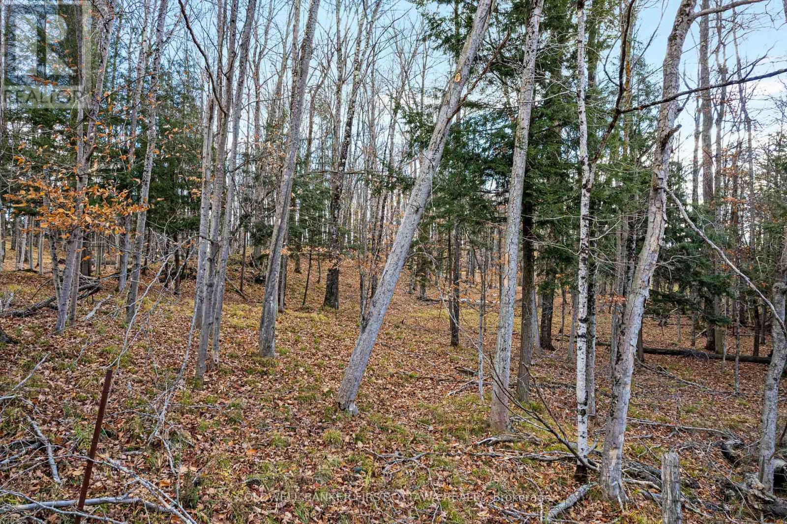 PT 1-00 HERRON MILLS ROAD - Photo 4 of 7, Lanark Highlands, Ontario