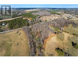 Pt 1-00 Herron Mills Road, Lanark Highlands, ON K0G1K0 Photo 7