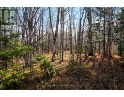 Pt 3-00 Herron Mills Road, Lanark Highlands, ON K0G1K0 Photo 6