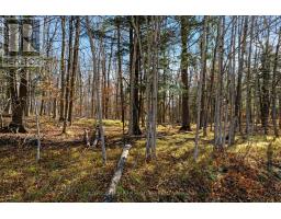 Pt 3-00 Herron Mills Road, Lanark Highlands, ON K0G1K0 Photo 7