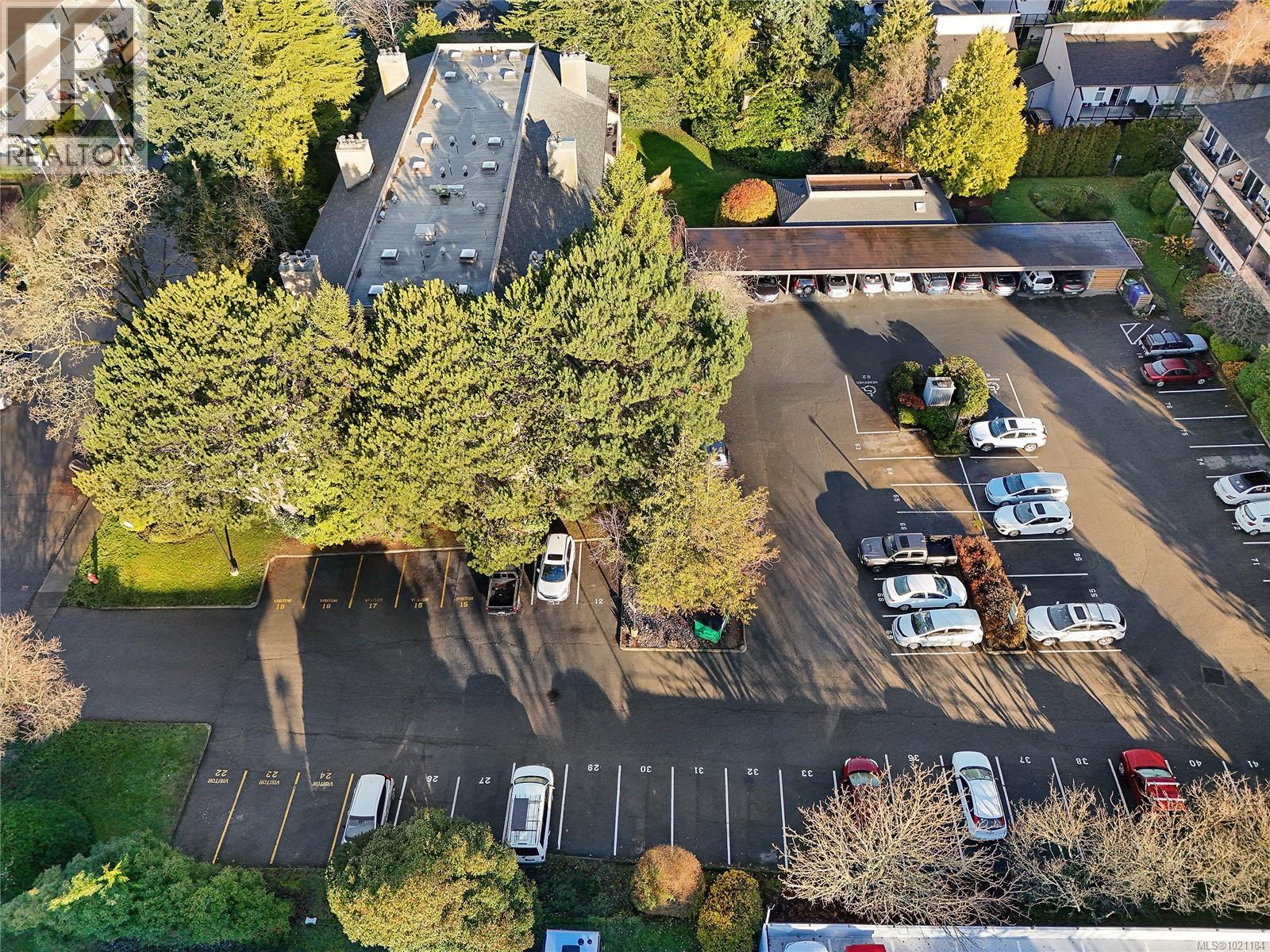 105 3215 Alder Street, Saanich