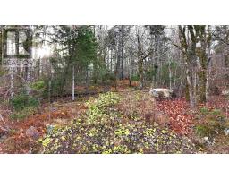 Lot 5 Nathan Croft Road, Camperdown, NS B4V6T9 Photo 8