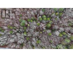 Lot 5 Nathan Croft Road, Camperdown, NS B4V6T9 Photo 12