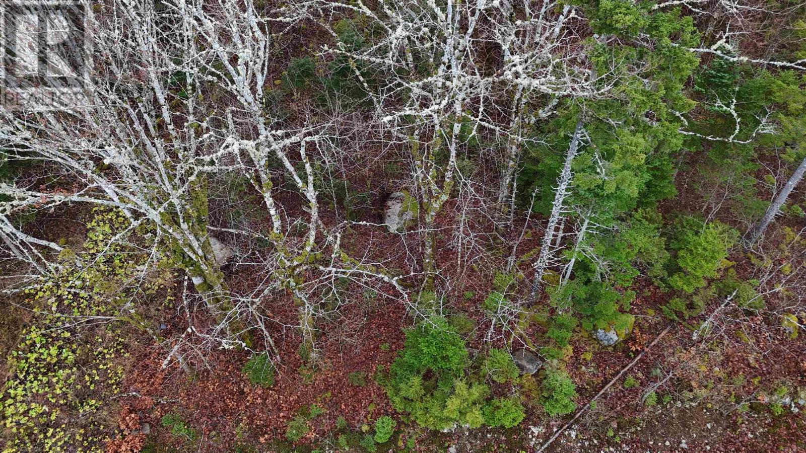 Property 6 of 19 of Lot 5 Nathan Croft Road