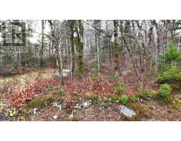 Lot 5 Nathan Croft Road, Camperdown, NS B4V6T9 Photo 6