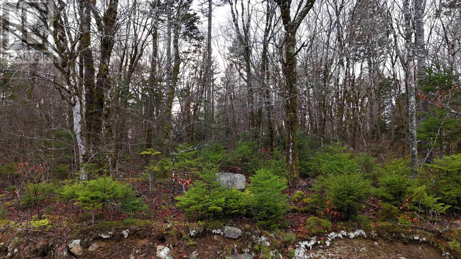 Property 8 of 19 of Lot 5 Nathan Croft Road