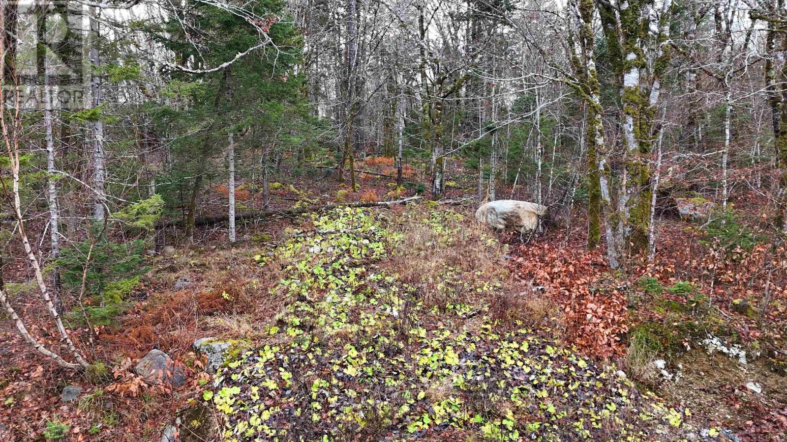 Property 5 of 19 of Lot 5 Nathan Croft Road