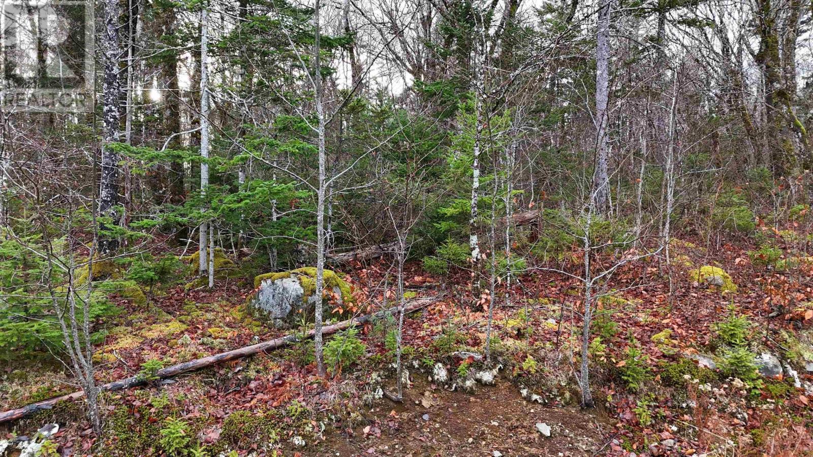 Property 3 of 19 of Lot 5 Nathan Croft Road