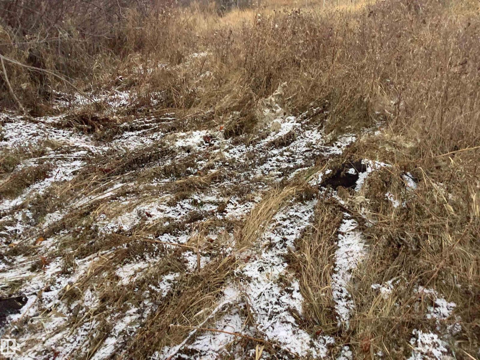 #242 21252 TWP ROAD 540, Rural Strathcona County