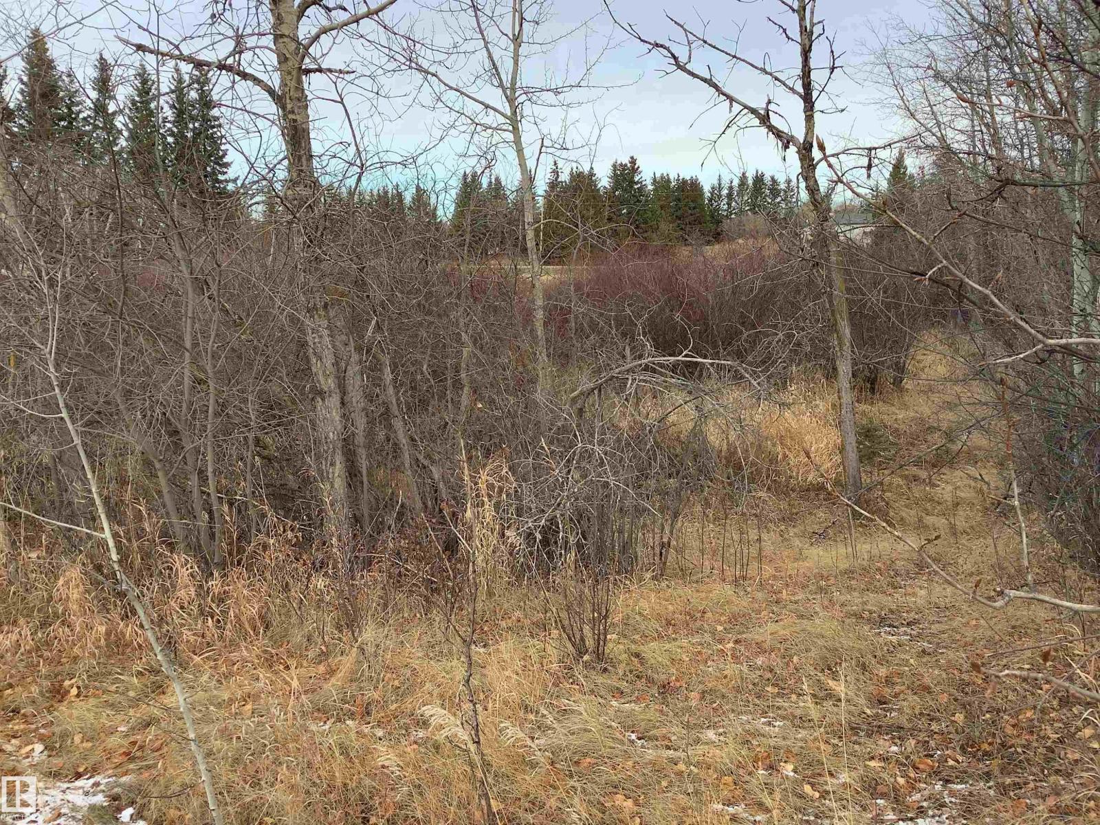 #242 21252 TWP ROAD 540, Rural Strathcona County