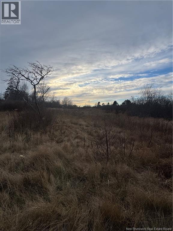 16 SHILOH Road - 7