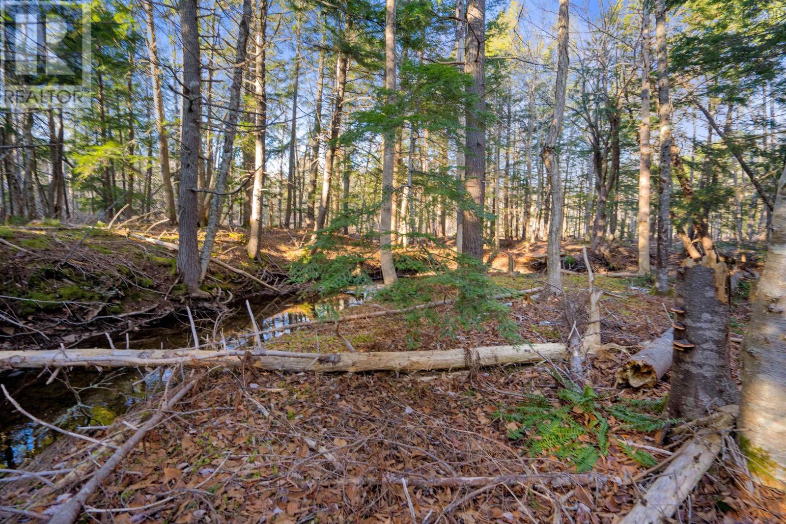 Property 1 of 15 of Pine Tree Road