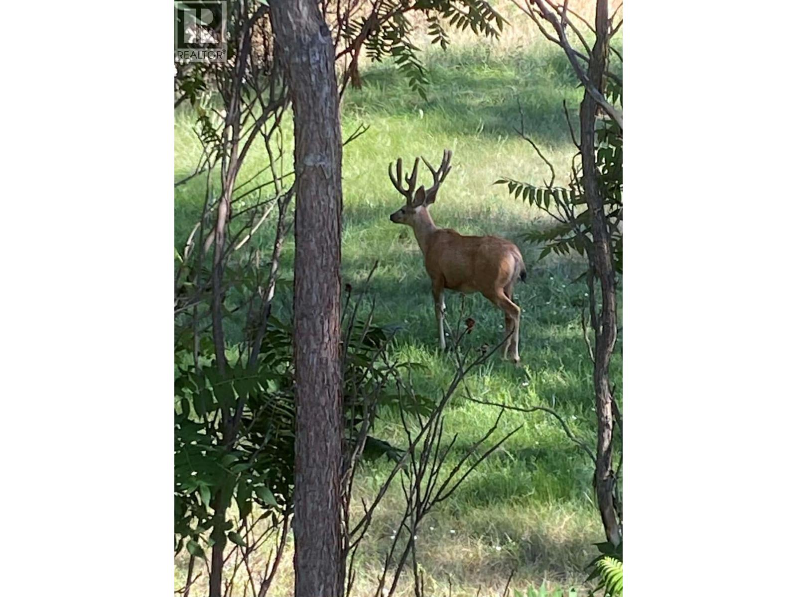  3319 Grouse Road, West Kelowna