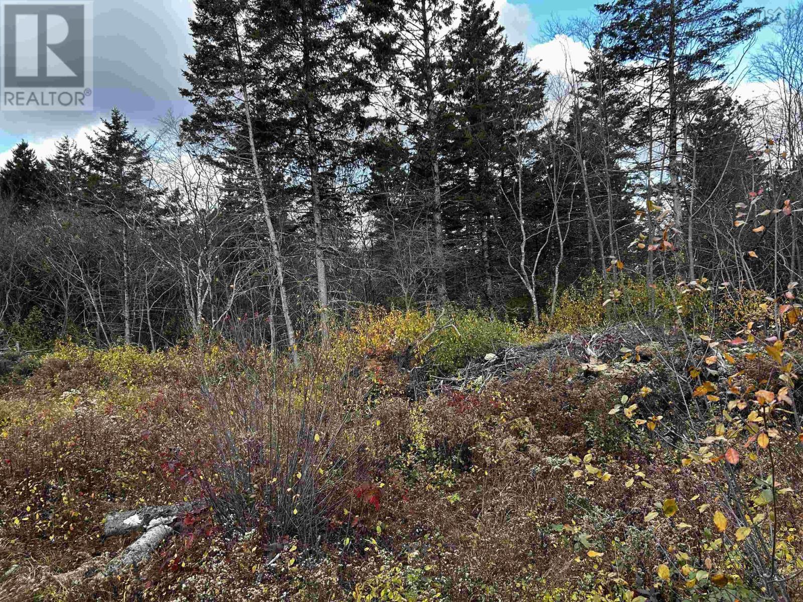 Property 11 of 16 of 381 Marshalltown Road