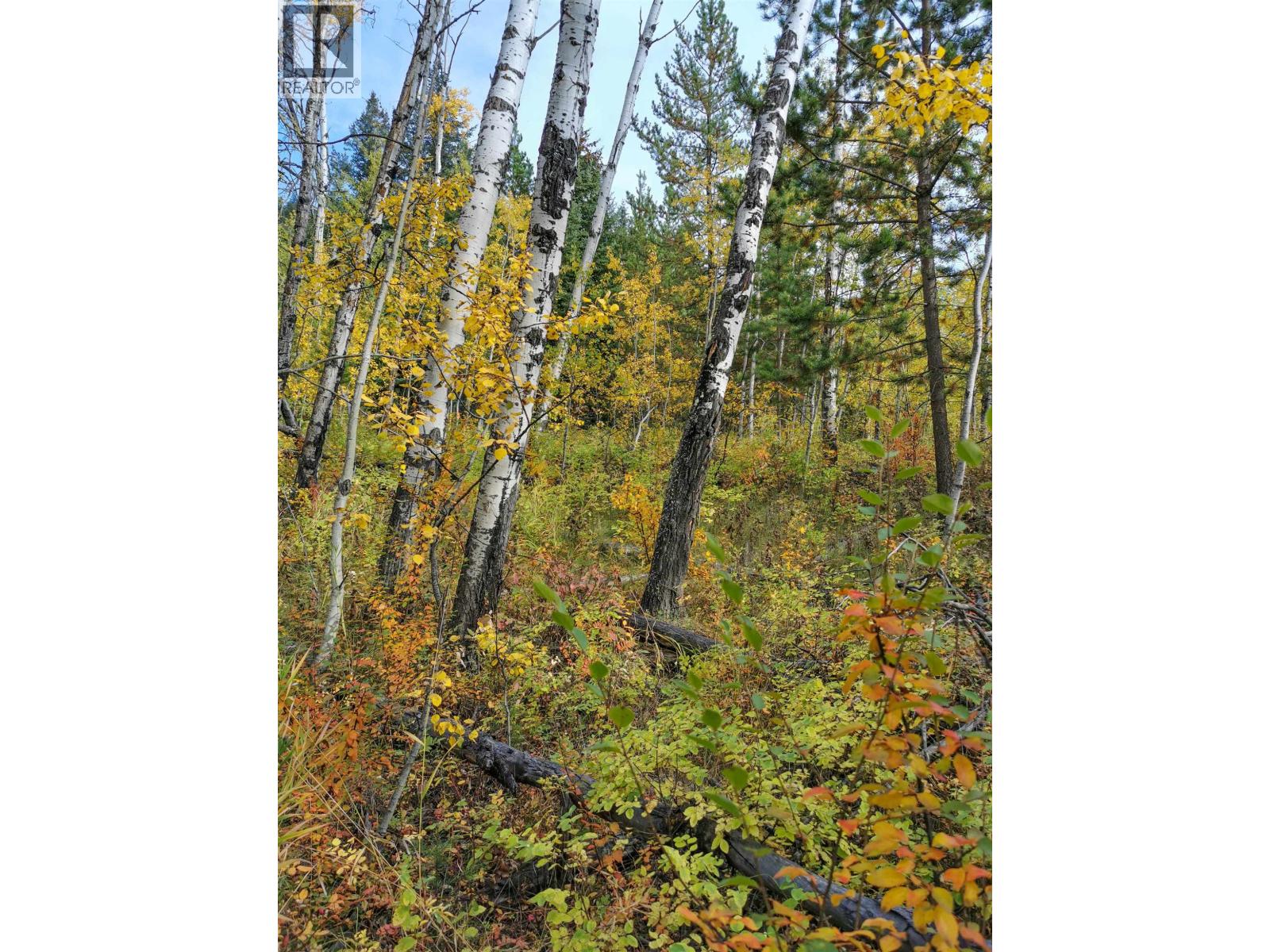 268 BLACKSTOCK ROAD, 100 Mile House