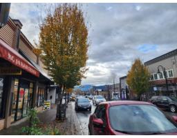 33065 1st Avenue, Mission, BC V2V1G2 Photo 13