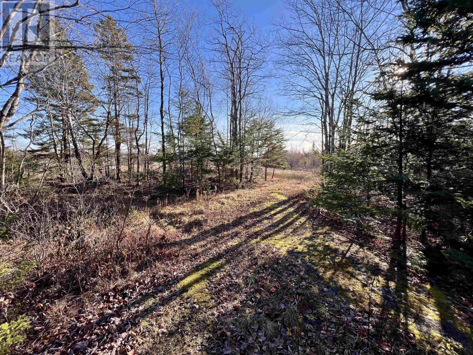 Property 20 of 26 of 1007 Canaan Road