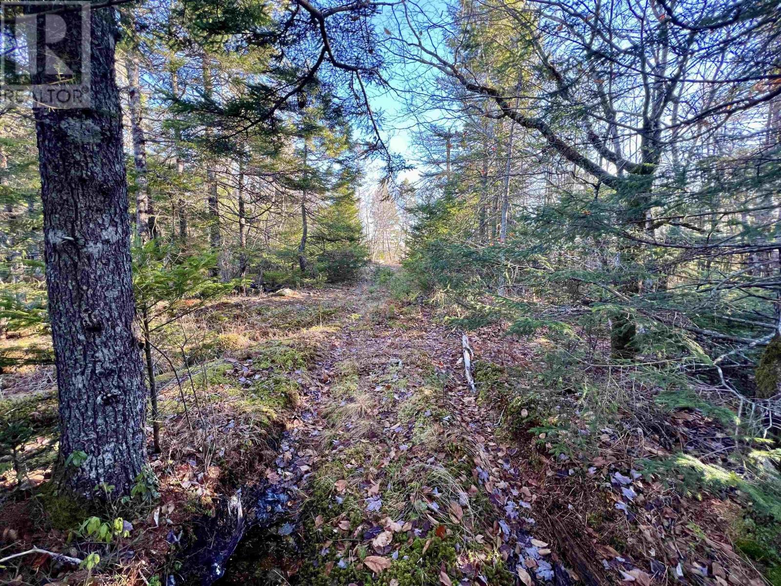 Property 21 of 26 of 1007 Canaan Road