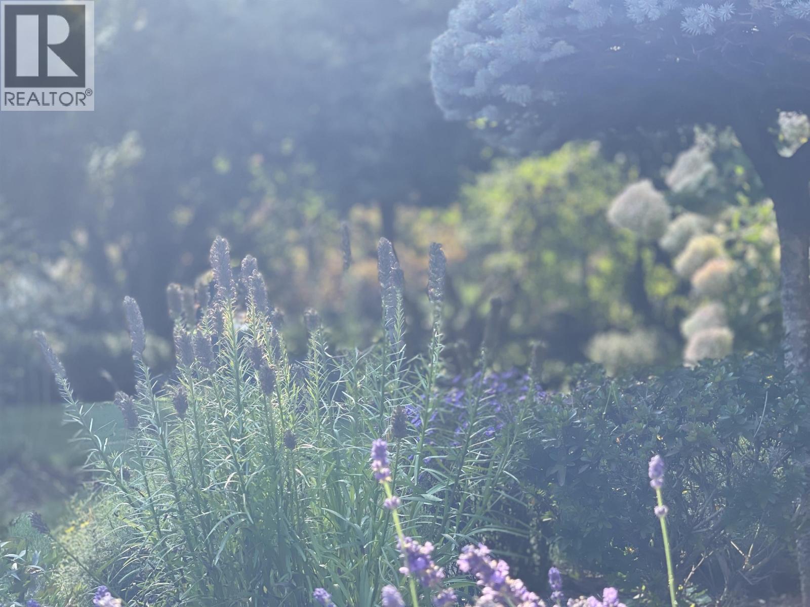 539 NEWCROFT PLACE, West Vancouver