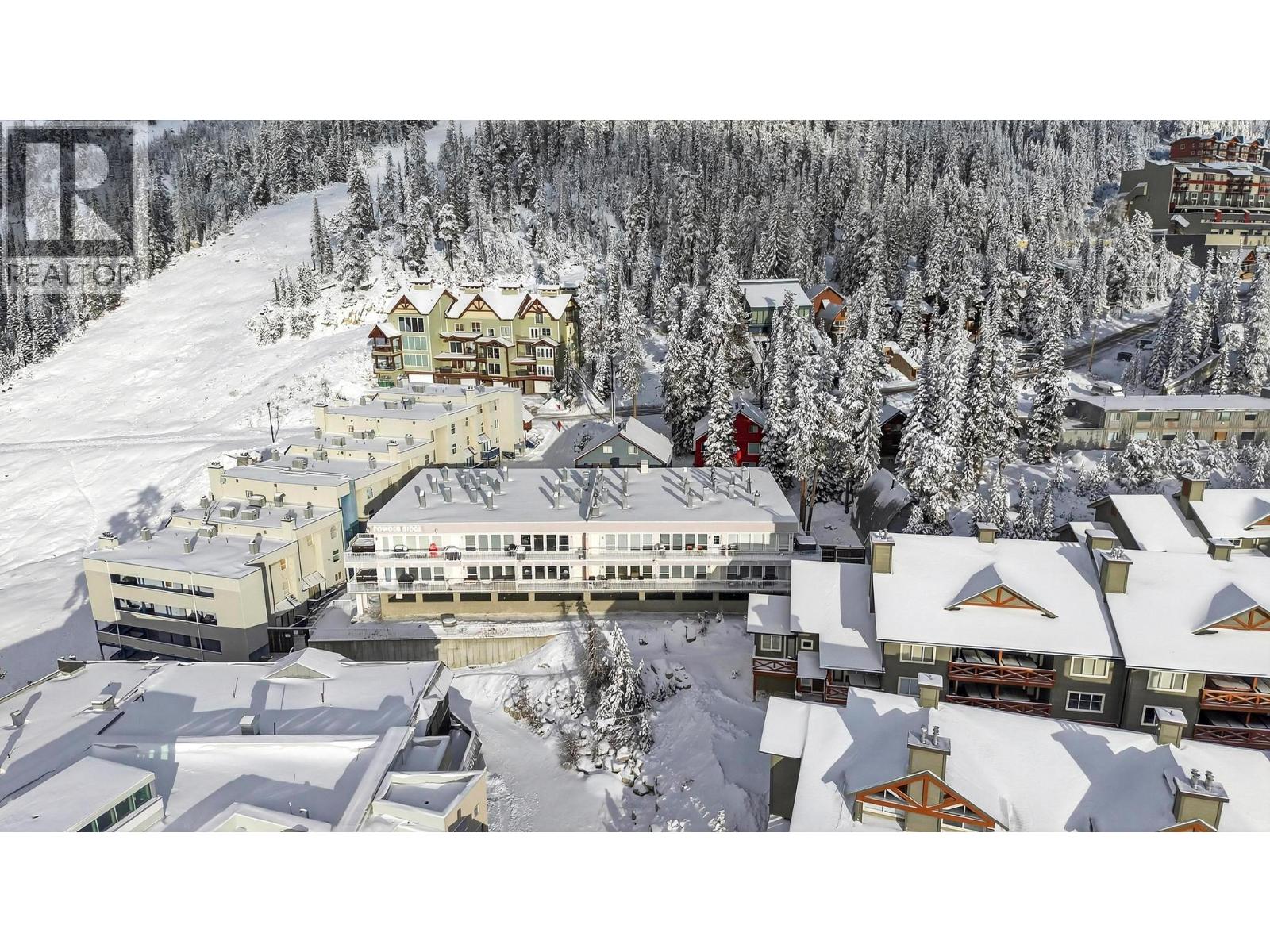 104 7375 Porcupine Road, Big White