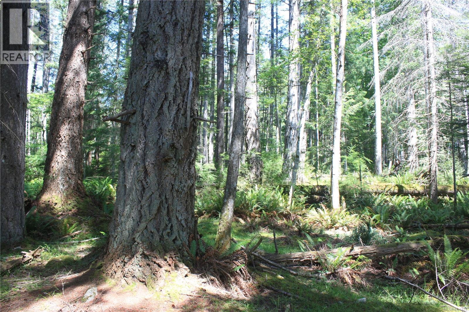 1 Lennie Rd, Lasqueti Island