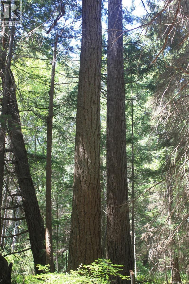 1 Lennie Rd, Lasqueti Island