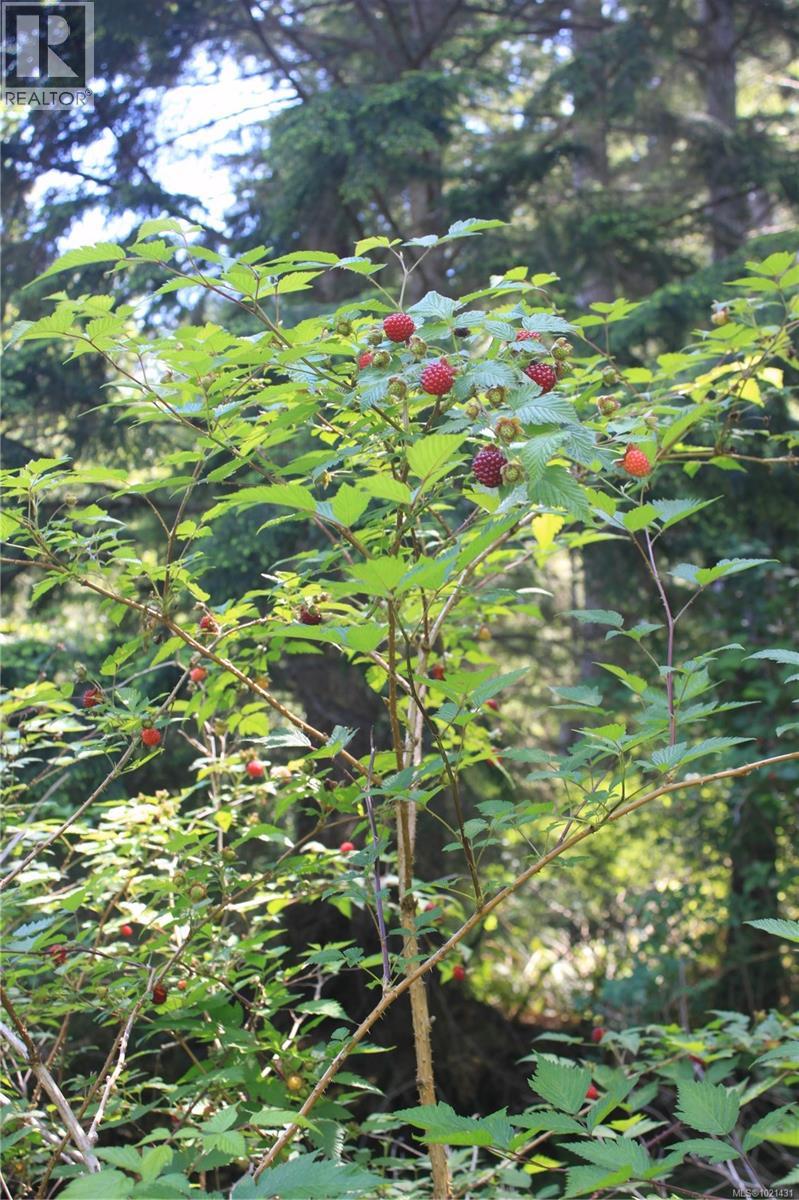 1 Lennie Rd, Lasqueti Island