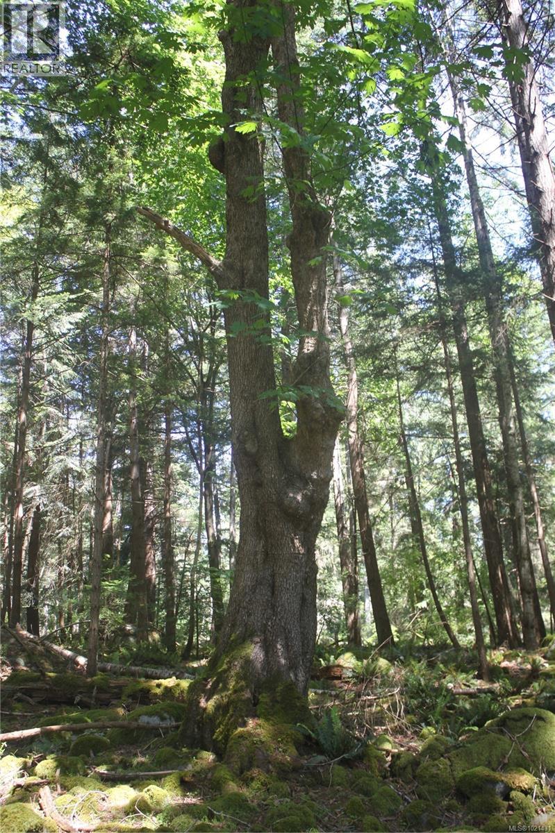 1 Lennie Rd, Lasqueti Island