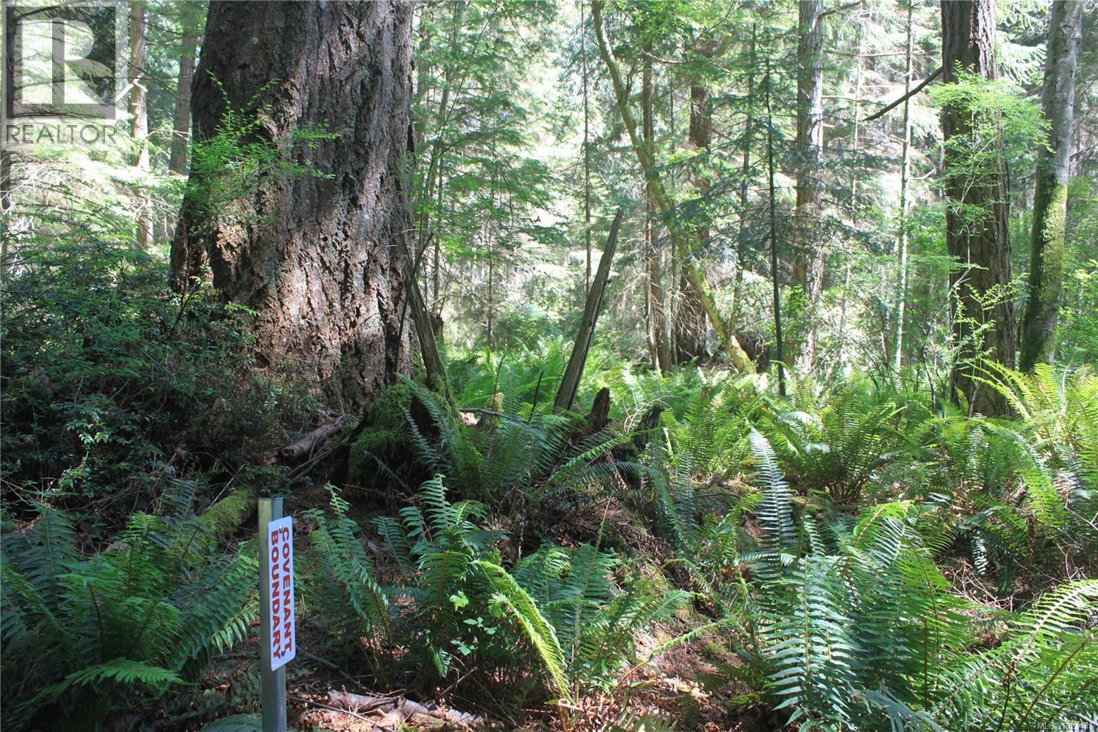 1 Lennie Rd, Lasqueti Island