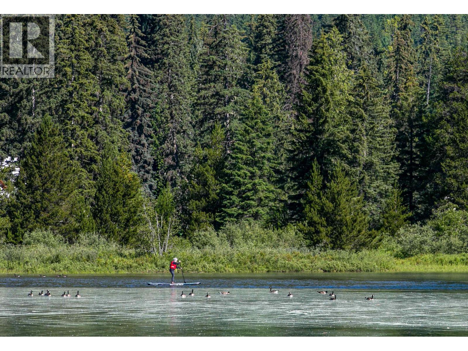 210 8080 NICKLAUS NORTH BOULEVARD, Whistler