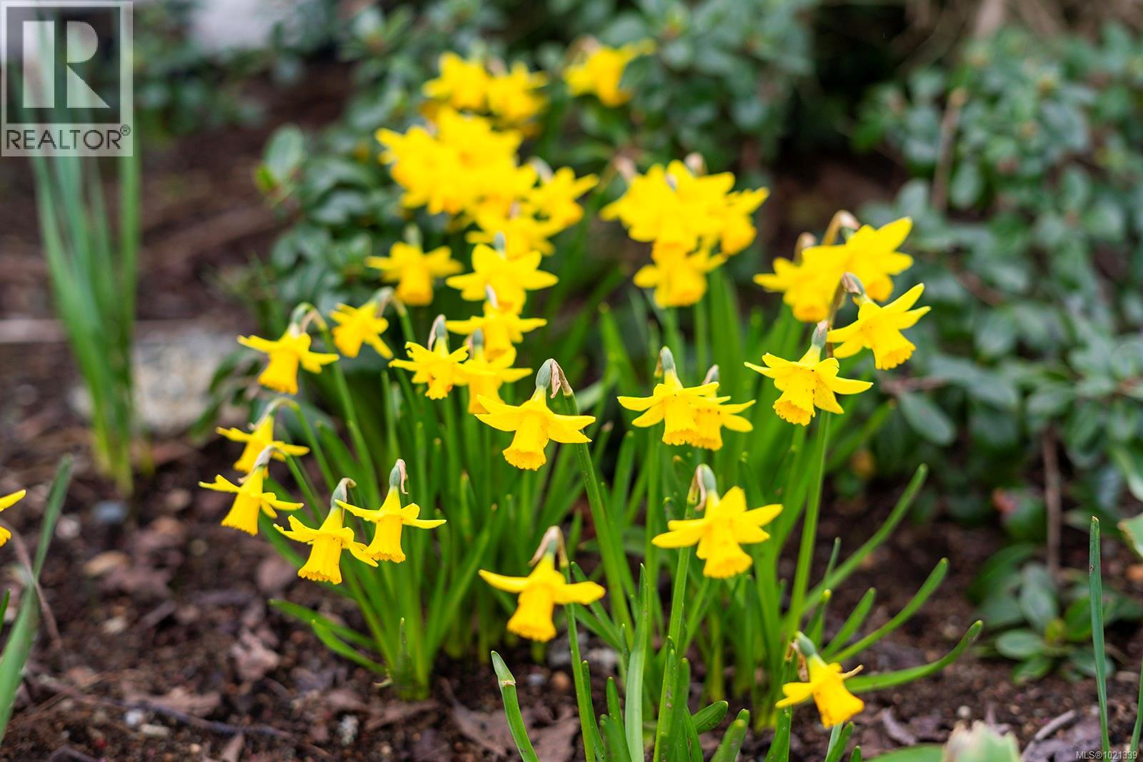 407 264 McVickers St, Parksville