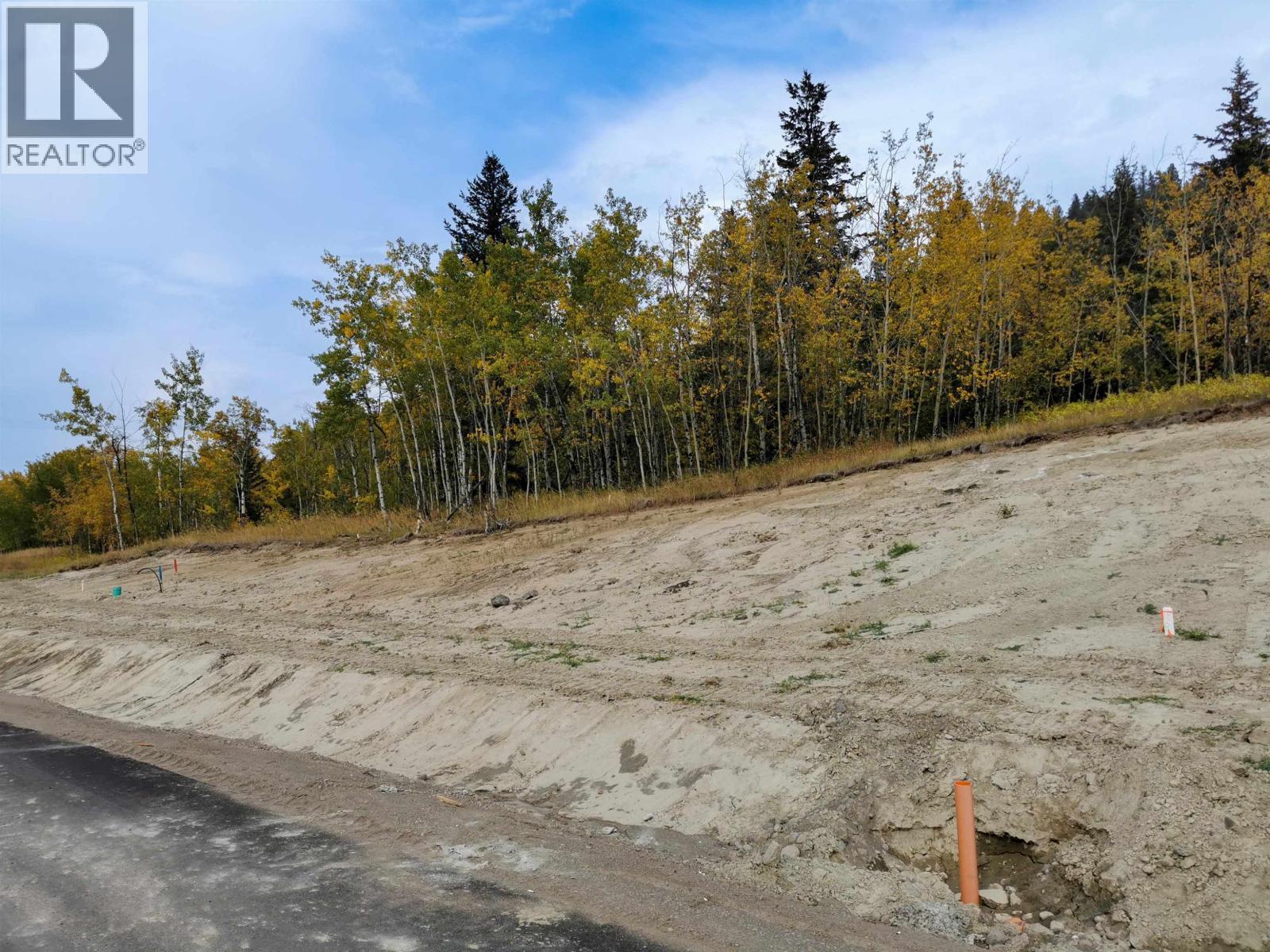 292 BLACKSTOCK ROAD, 100 Mile House