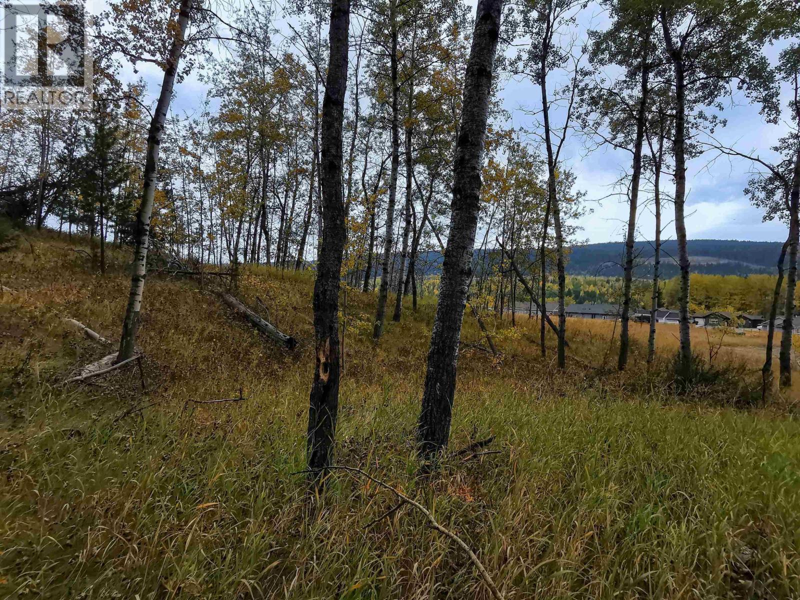 288 BLACKSTOCK ROAD, 100 Mile House